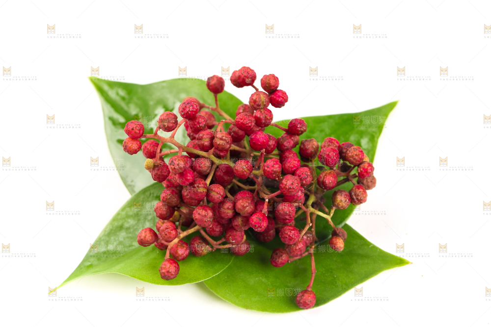 叶子上的新鲜花椒