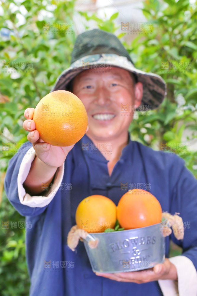农民手里拿着南非西柚