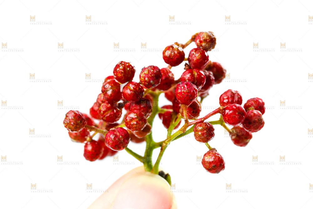 白底上的花椒