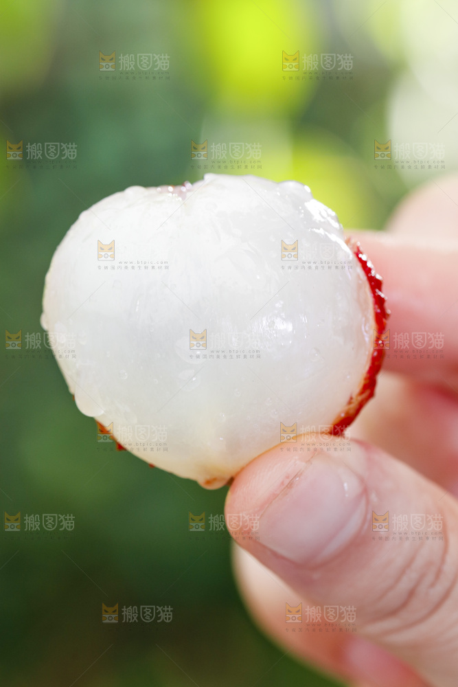 白糖罂荔枝