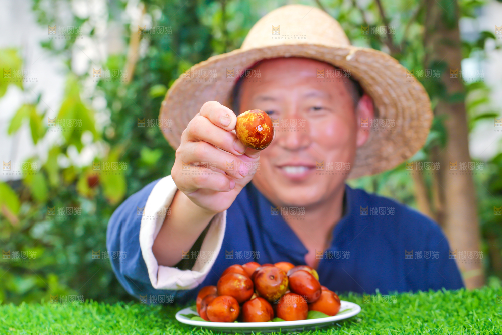 农民手里拿着冬枣