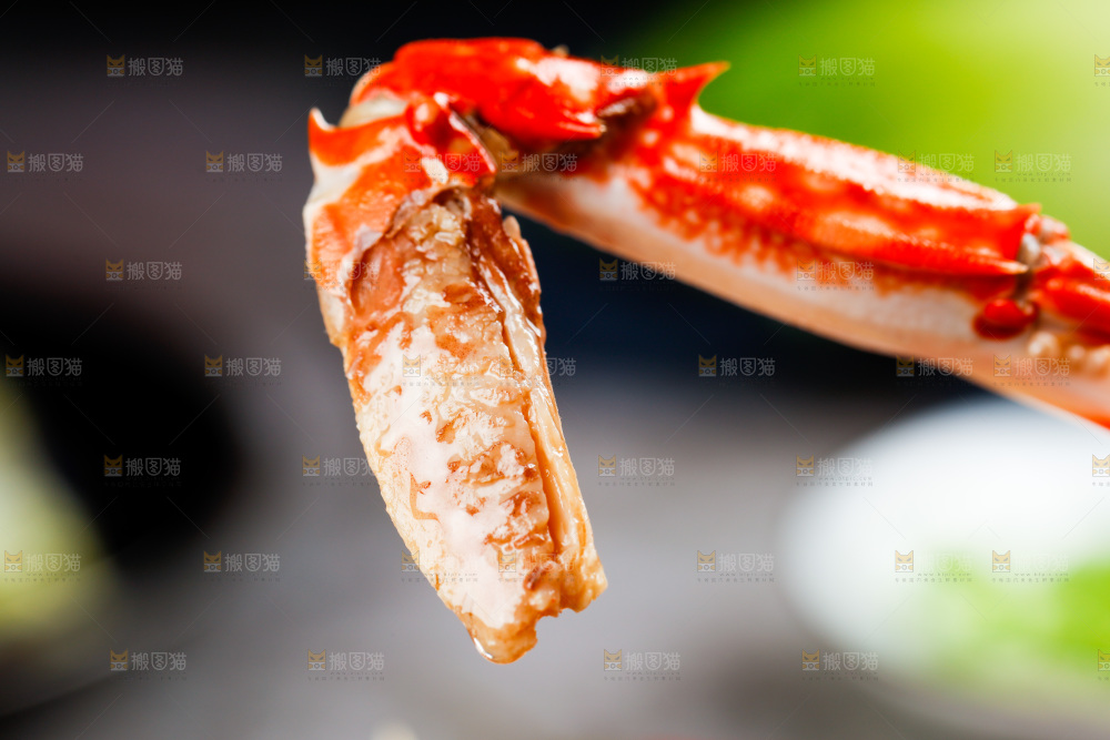 深底上的梭子蟹钳