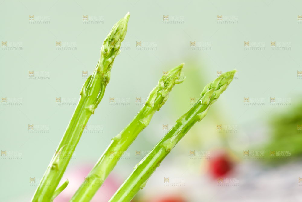 浅底上的青芦笋