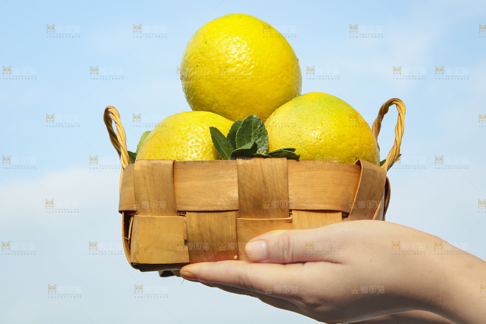 手拿一筐秭归夏橙