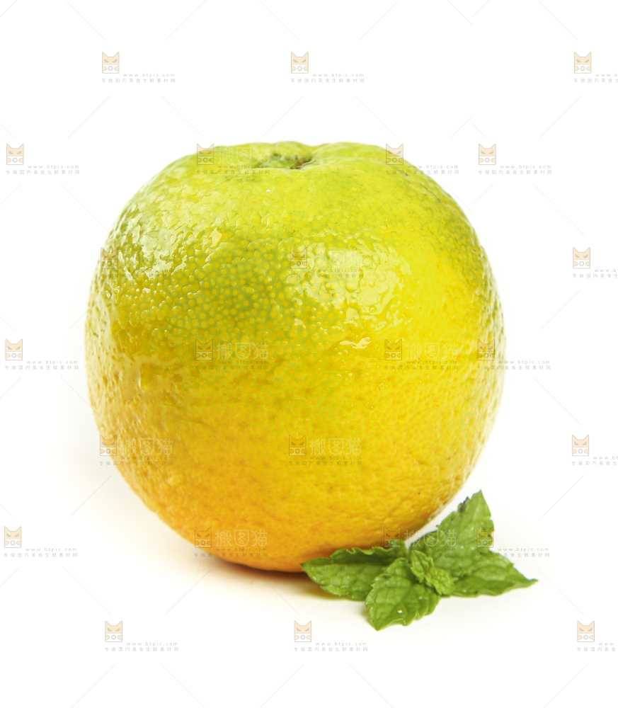 白底上的秭归夏橙