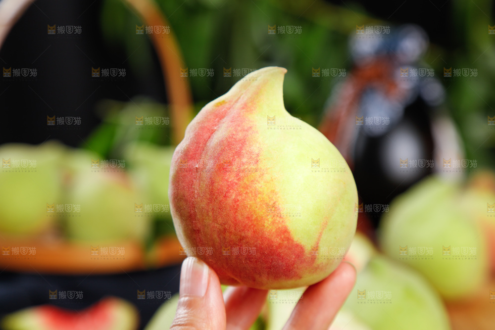 手拿鹰嘴桃