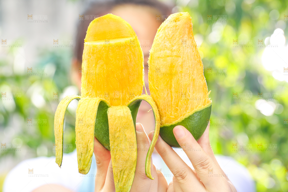 手拿剥皮的桂七芒