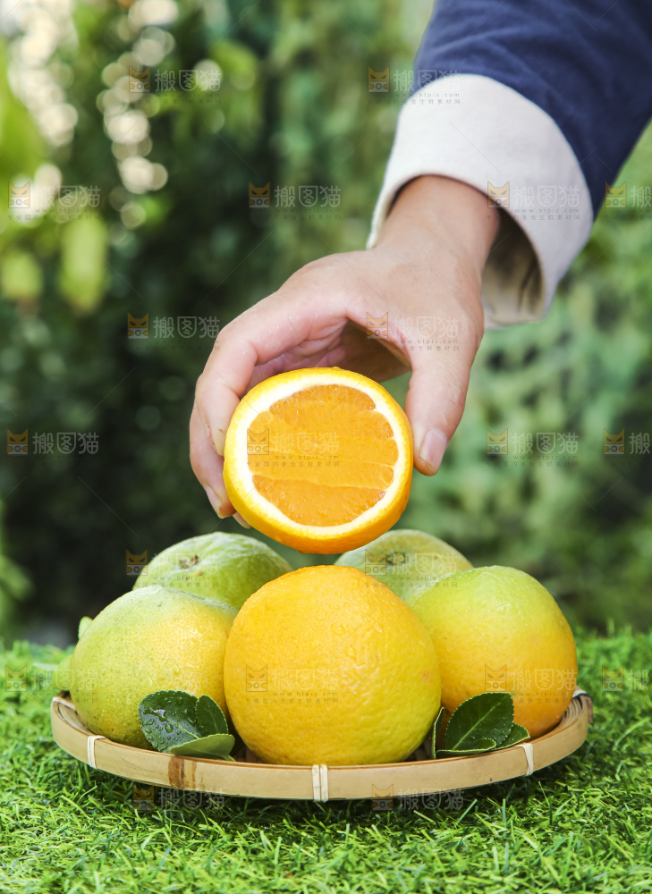 草地上手拿一个切开的夏橙