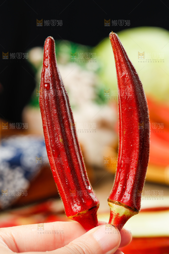 手拿红色秋葵