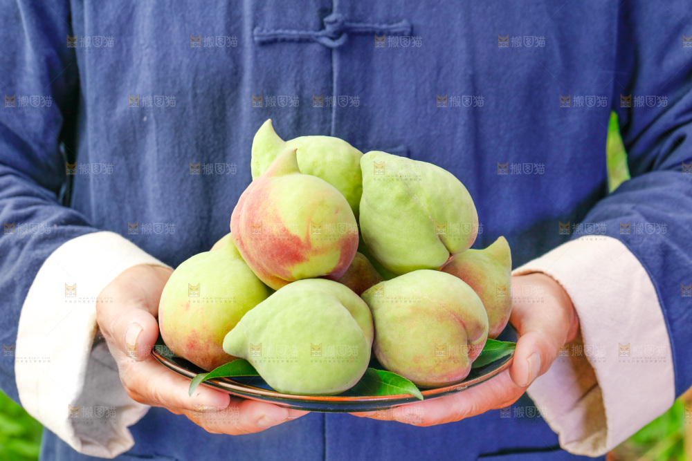 手拿云南鹰嘴黑美人桃子