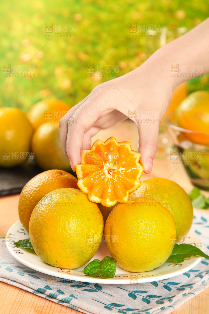 手拿着的秭归夏橙