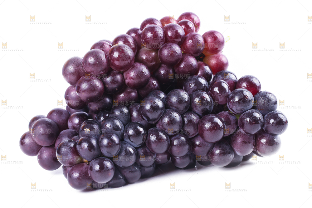 白底上的新鲜巨峰葡萄