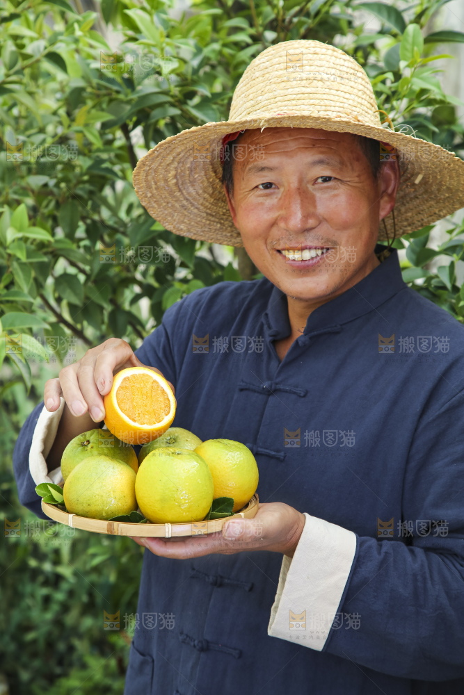 农民手拿一盘夏橙