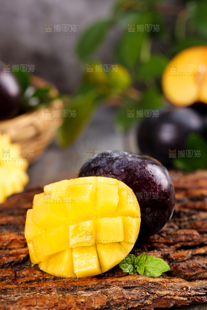 木底上的智利黄肉黑布林