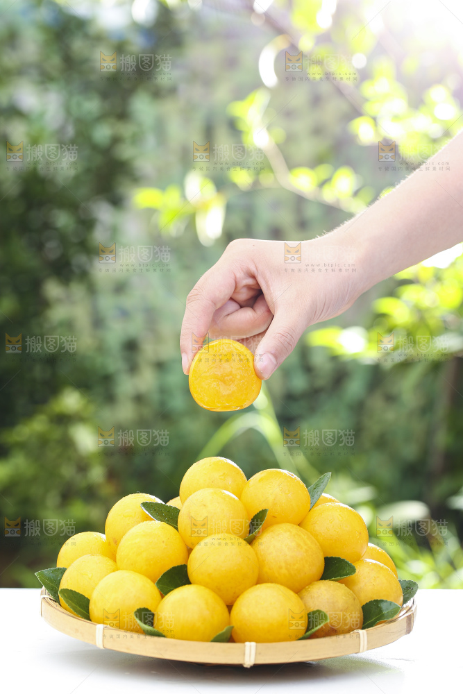 手拿黄金奈李