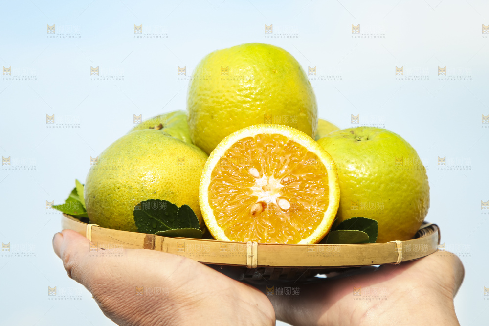 上手拿一筐夏橙