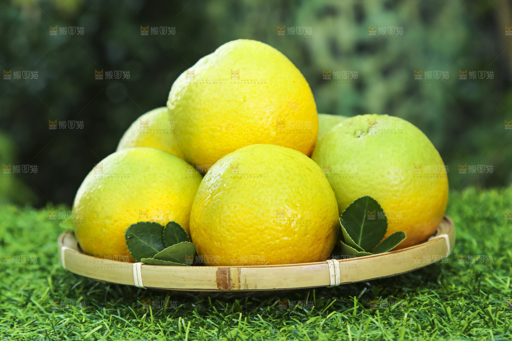 草地上放着一篮夏橙