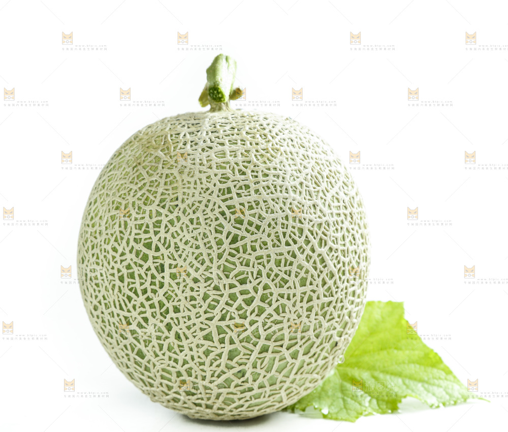 白底上的玫珑瓜