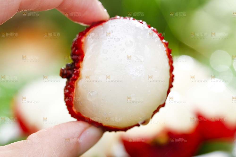 白糖罂荔枝