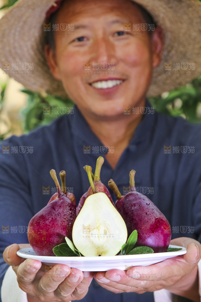 农民手拿一盘红啤梨