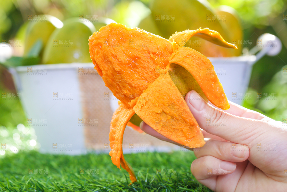 手拿剥皮的椰香芒