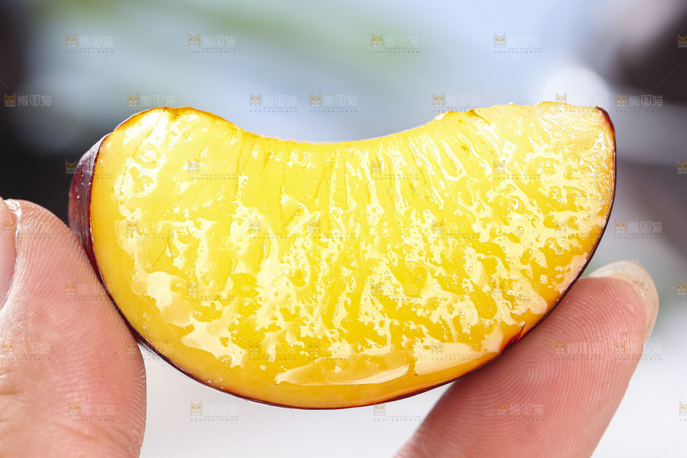 手拿切开的黑布林