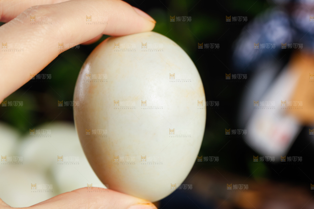 深底上手拿一个海鸭蛋