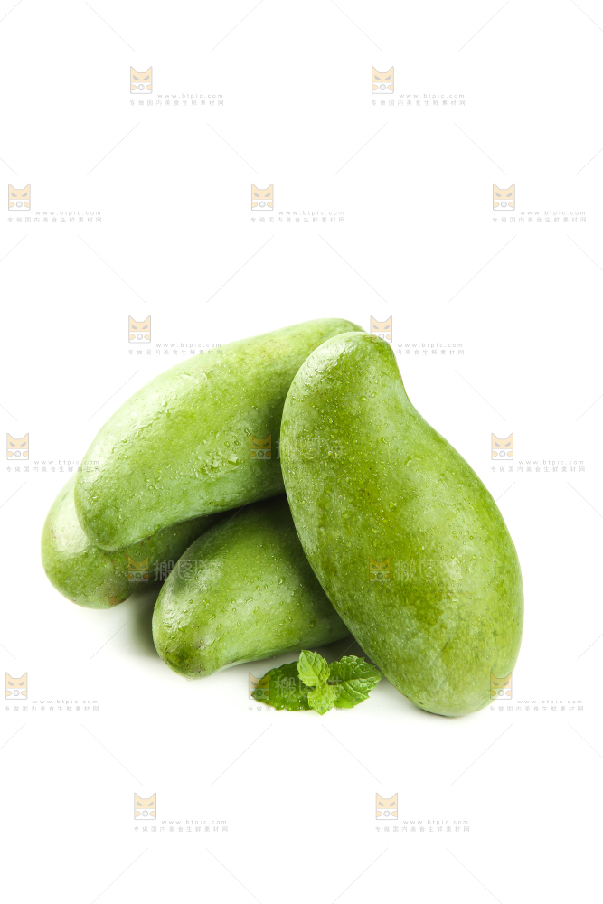 白底上的桂七芒