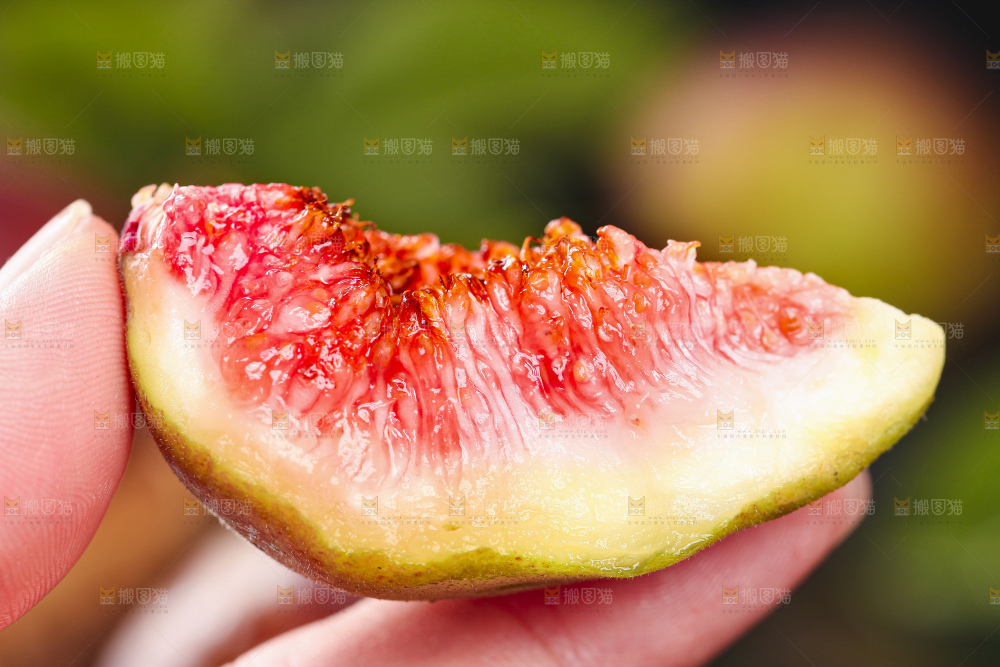 手拿切开的无花果