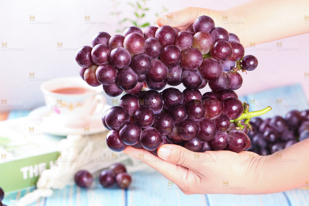 手拿东北巨峰葡萄