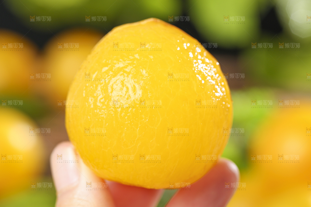 手拿剥皮的黄金奈李