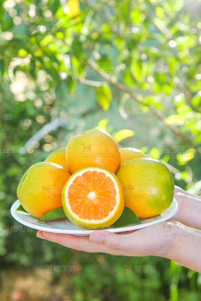 手端一盘夏橙