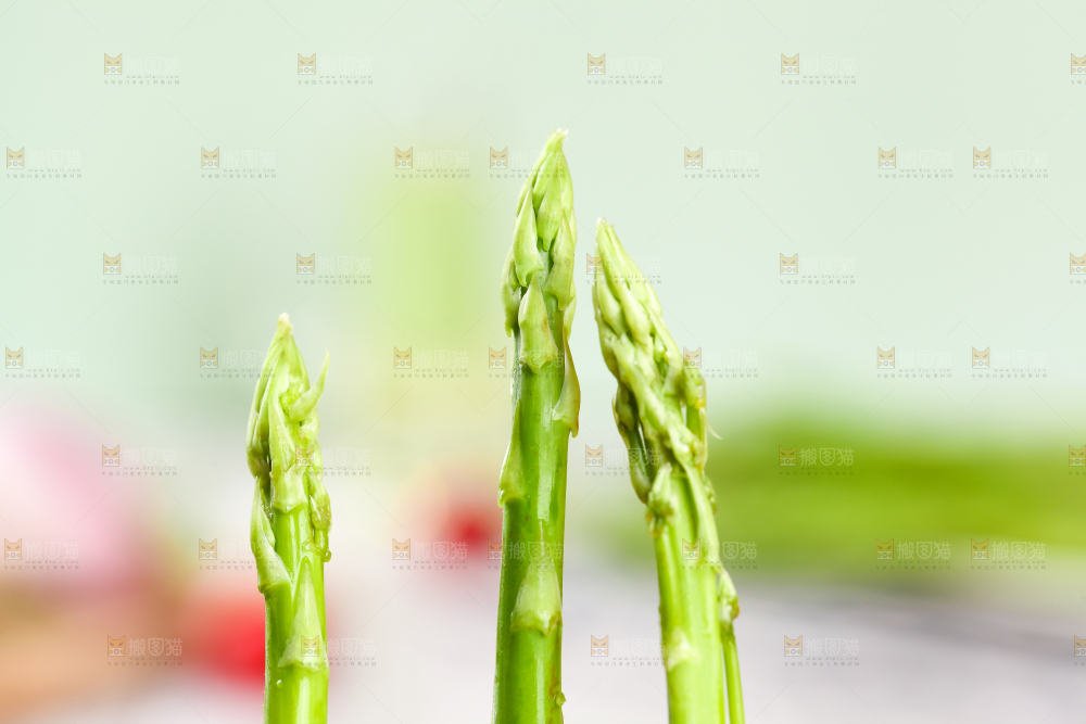 浅底上的青芦笋