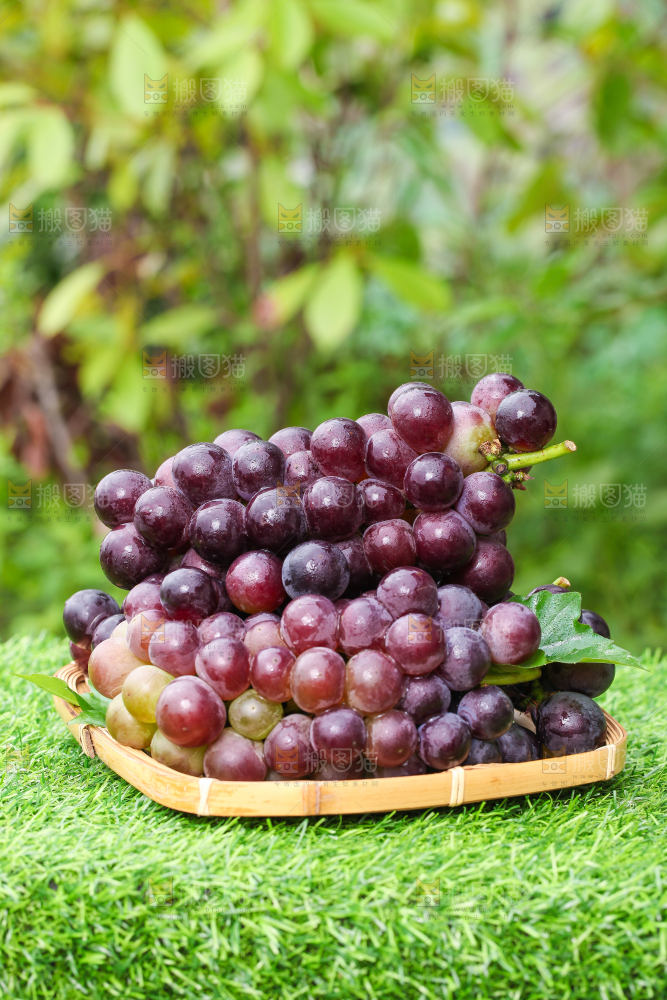 草地上放着一盘新鲜葡萄