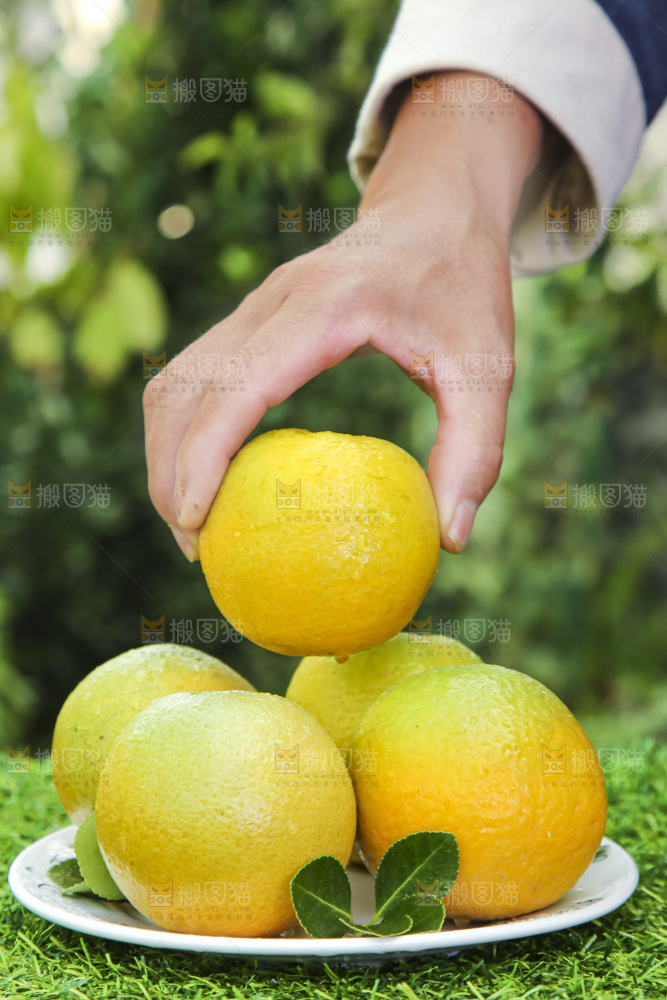 草地上手拿一个夏橙
