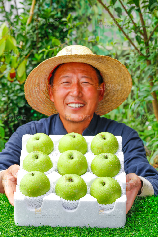 手拿一盒青翠冠梨