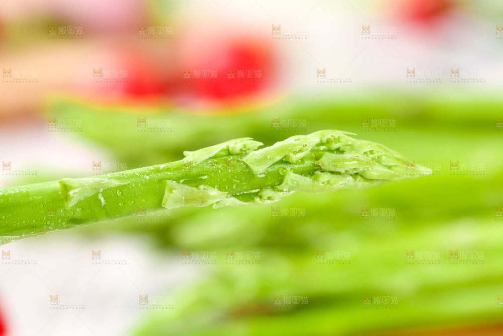 木底上的青芦笋