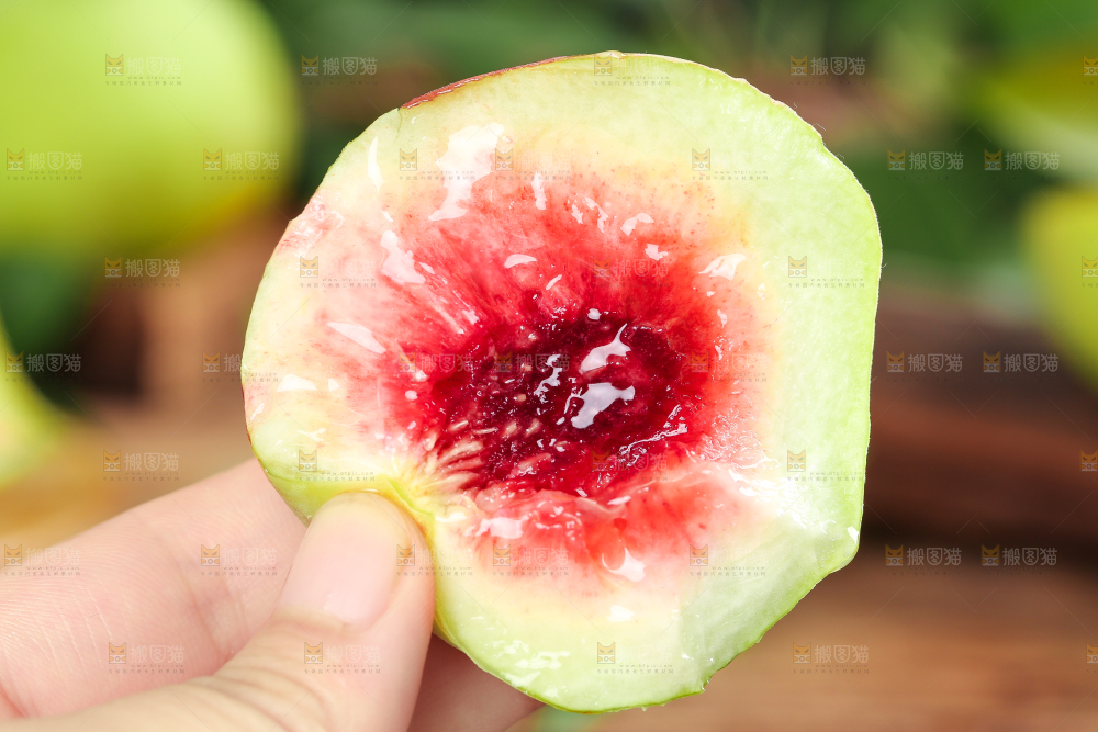 手拿云南鹰嘴水蜜桃