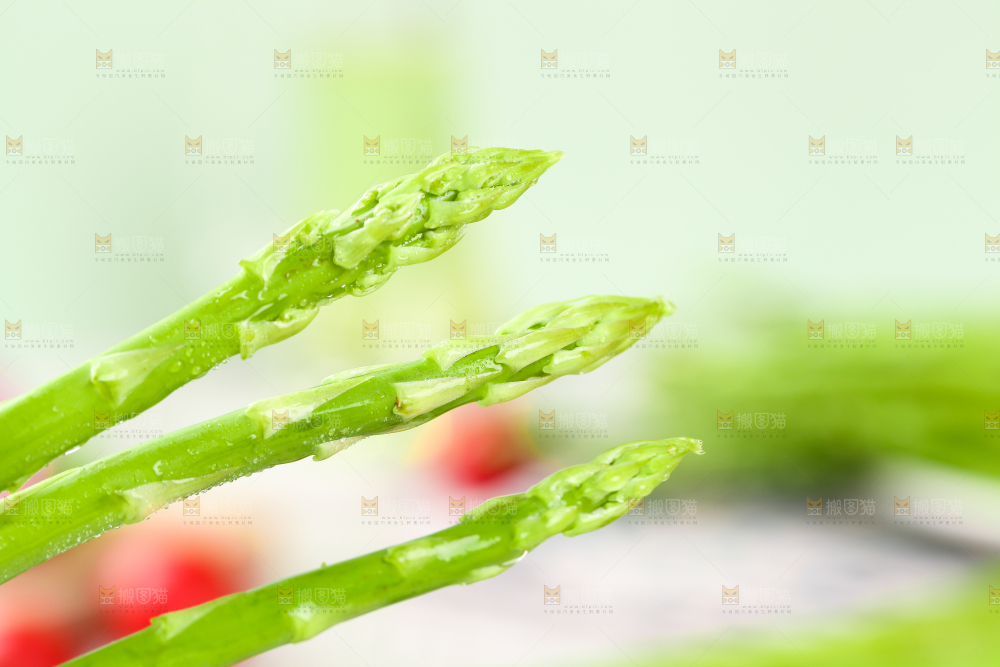 木底上的青芦笋