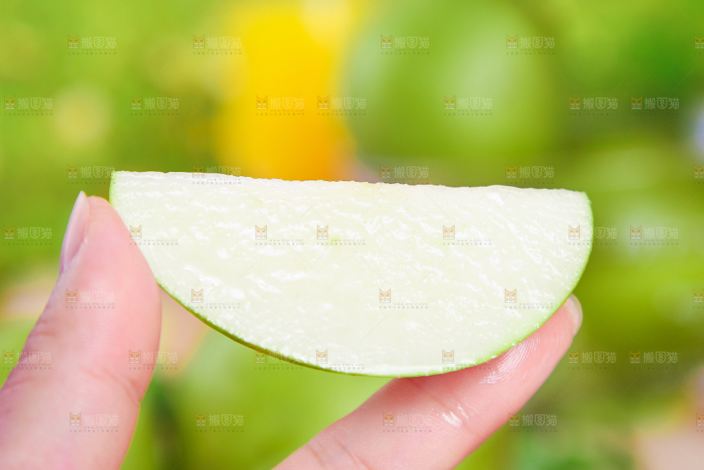 手拿切开的青皮梨