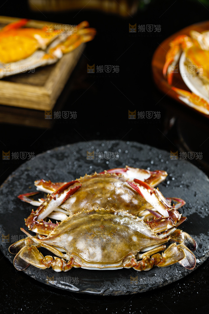 石板上的梭子蟹