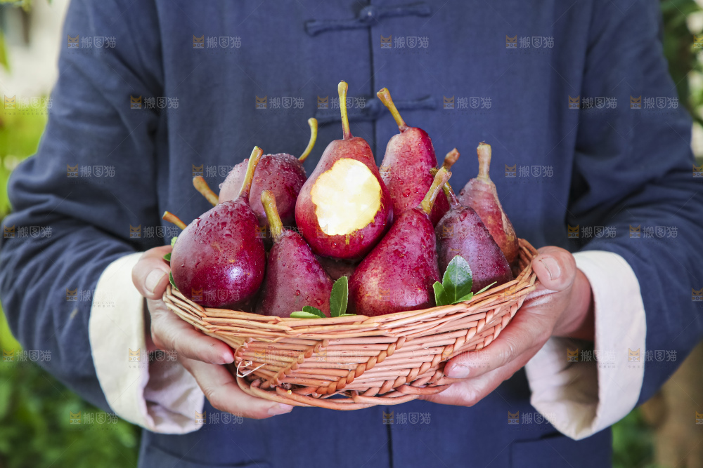 红啤梨