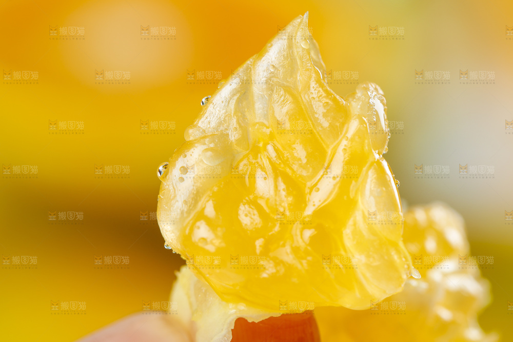 手拿夏橙果肉