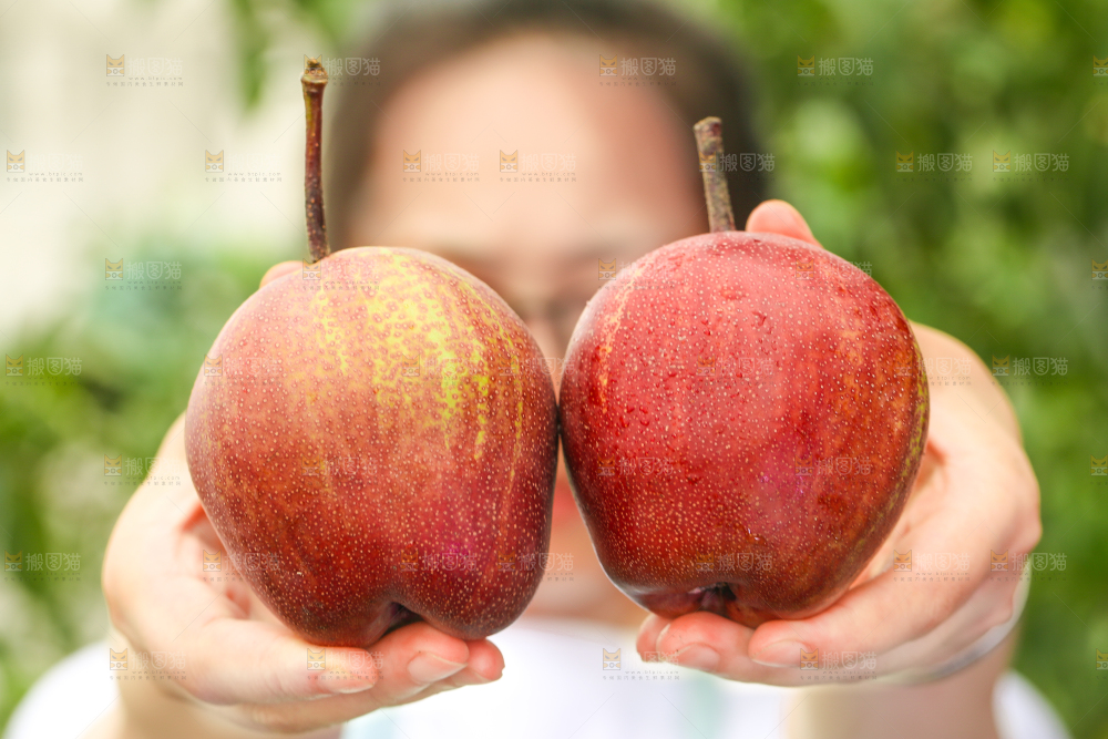 手拿彩虹梨
