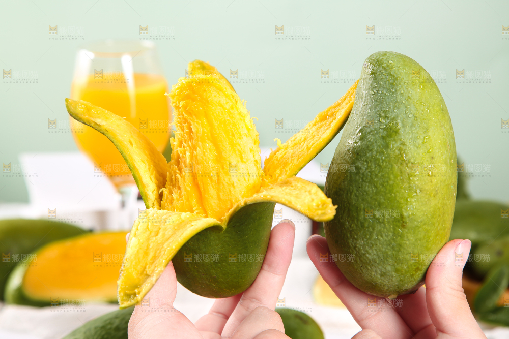 手拿剥皮的桂七芒
