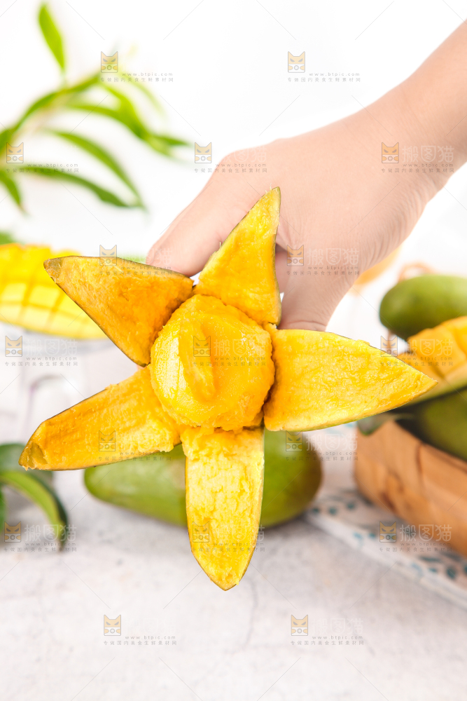 手拿剥皮的桂七芒