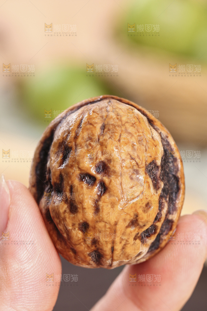 手拿新鲜去皮湿核桃