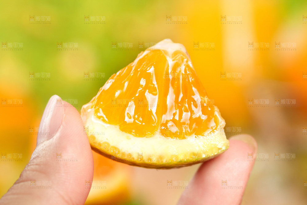 手拿切开的秭归夏橙