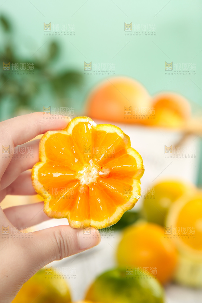 手拿切开的夏橙