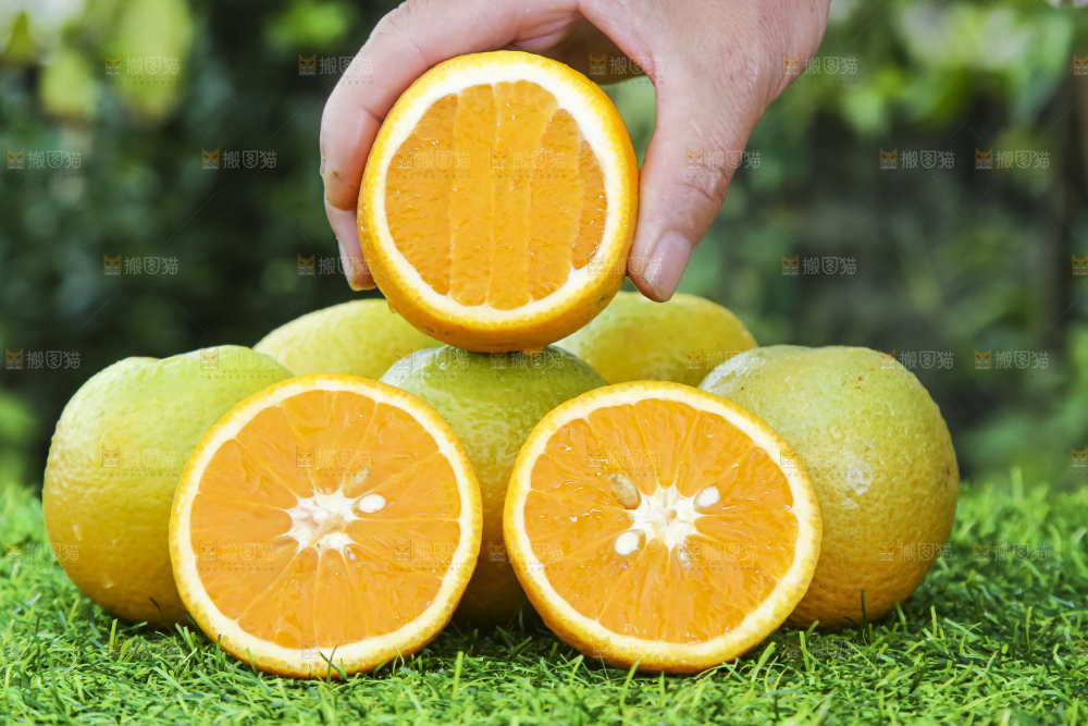 秭归夏橙